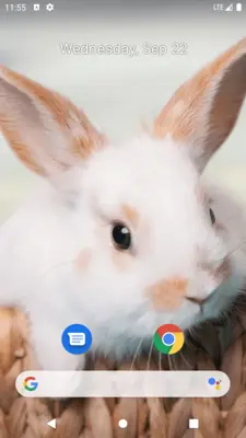 Rabbit Wallpaper android App screenshot 0