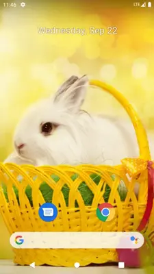 Rabbit Wallpaper android App screenshot 9