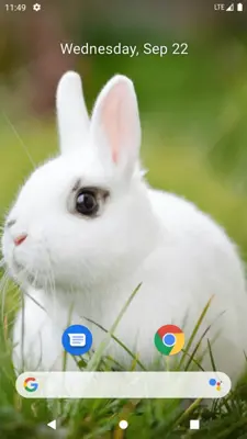 Rabbit Wallpaper android App screenshot 2