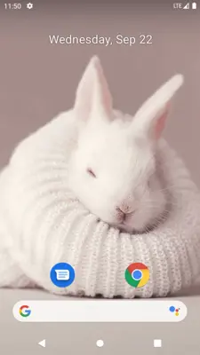 Rabbit Wallpaper android App screenshot 5