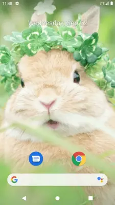 Rabbit Wallpaper android App screenshot 6