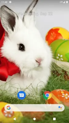 Rabbit Wallpaper android App screenshot 7